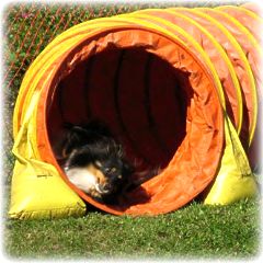 Buttons flying through the tunnel