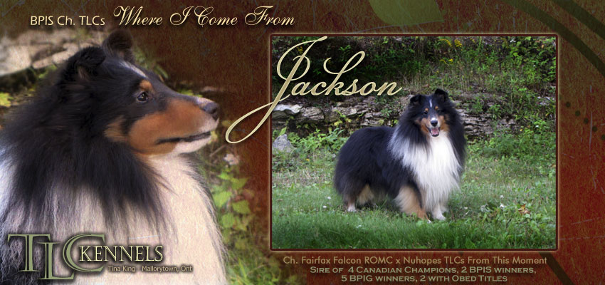jackson