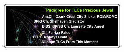 Julie's pedigree
