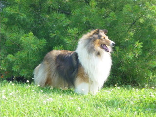Katie