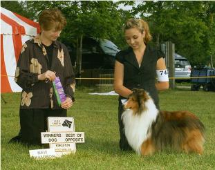Koen - New Champion