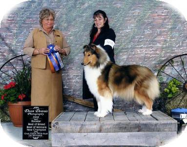 Libby - Champion