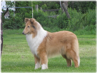 Maria at 10 months