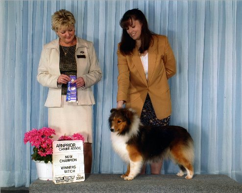 Minx New Champion