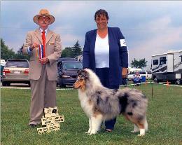 Rio - Valley Kennel Club