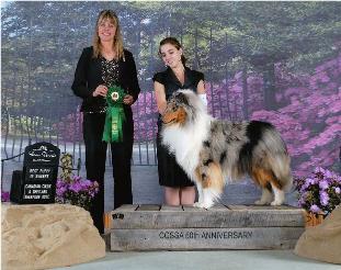 Dooley - Best Puppy in Sweeps